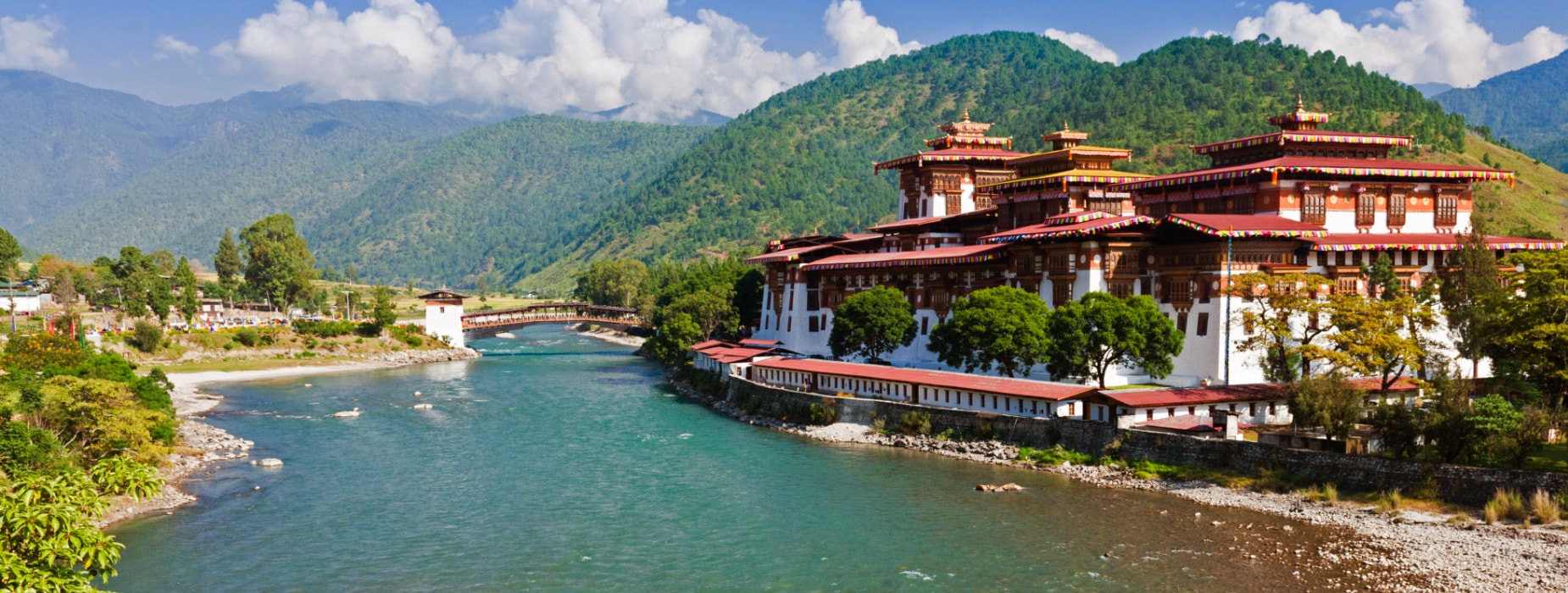 Looking For Best Trip