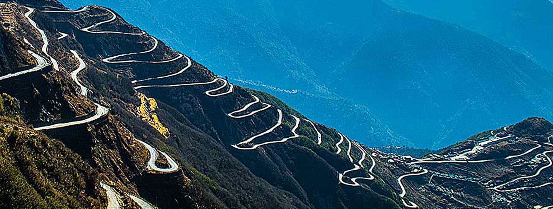 Looking For Travel Agent